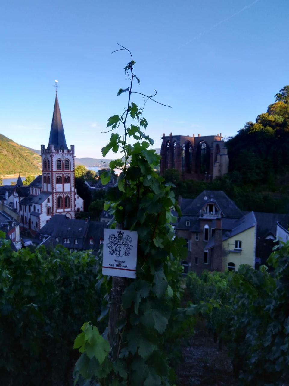 Hotel Gelber Hof Bacharach Ngoại thất bức ảnh